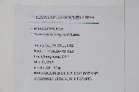 盾果草藏品圖，第2張