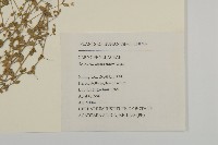 登錄號:S047256藏品圖，第2張