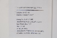 黃金鳳藏品圖，第2張