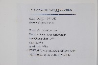 杜衡藏品圖，第2張