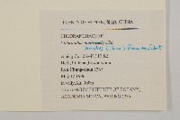 及己藏品圖，第2張