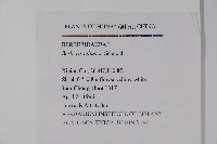 濠豬刺藏品圖，第2張