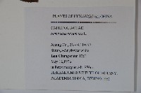 登錄號:S047467藏品圖，第2張