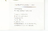 青莢葉藏品圖，第2張