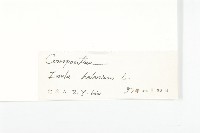 土木香藏品圖，第3張