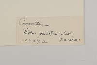 小花鬼針草藏品圖，第3張