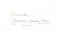 少花鳳毛菊藏品圖，第3張