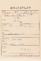 狹苞橐吾藏品圖，第2張