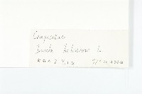 土木香藏品圖，第3張