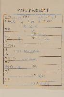 華薊藏品圖，第2張