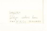 登錄號:S047528藏品圖，第3張