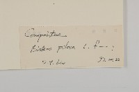 白花鬼針藏品圖，第3張