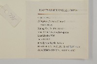 扶芳藤藏品圖，第2張