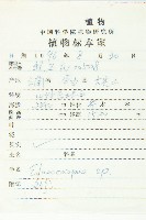 冬桃藏品圖，第2張