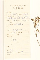 細葉苦實藏品圖，第2張