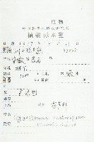 絞股藍藏品圖，第2張