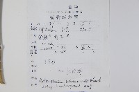 華東杏葉沙參藏品圖，第2張