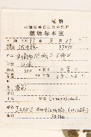 苦實菜藏品圖，第2張