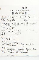 小連翹藏品圖，第2張