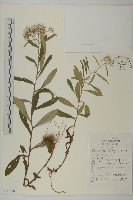 香青藏品圖，第1張