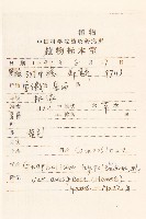 假秋鼠麴草藏品圖，第2張