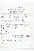 費菜藏品圖，第2張