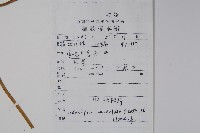 羊乳、四葉參藏品圖，第2張