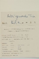 山白蘭藏品圖，第2張