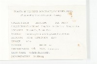 馬桑藏品圖，第2張