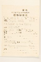 野茼蒿藏品圖，第2張