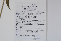 石沙參藏品圖，第2張