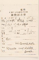 野茼蒿藏品圖，第2張