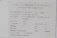 青榨槭藏品圖，第2張