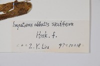 登錄號:S048030藏品圖，第2張