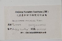 盾果草藏品圖，第2張