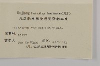 南蛇藤藏品圖，第3張