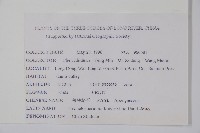 短柱絡石藏品圖，第2張