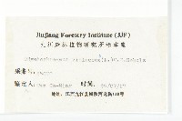 諸葛菜藏品圖，第3張