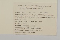 衛矛藏品圖，第2張