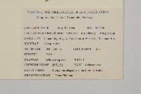 長梗衛矛藏品圖，第2張