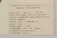 石棗子藏品圖，第2張