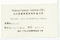 薺藏品圖，第3張