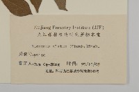 衛矛藏品圖，第3張