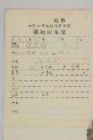 及己藏品圖，第2張