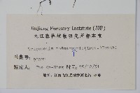 附地菜藏品圖，第2張