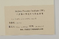 中國繁縷藏品圖，第3張