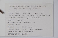 黃連木、爛心木藏品圖，第2張