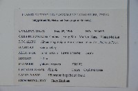 湖北莢藏品圖，第2張