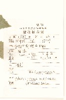 毛脈翅果菊藏品圖，第2張