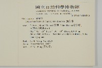 扶芳藤藏品圖，第2張